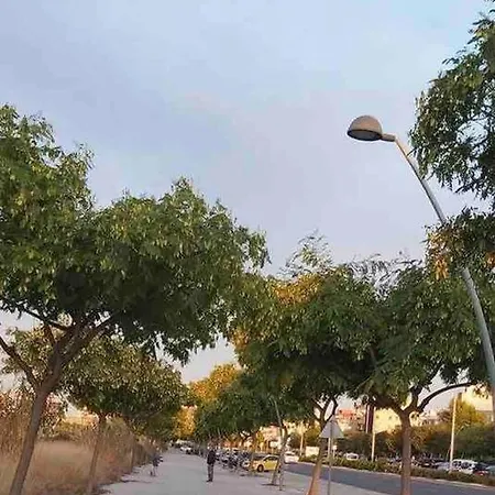Lc Soler Blasco * Castellon de la Plana