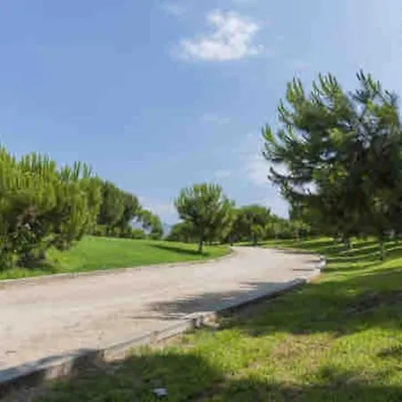 Lc Soler Blasco * Castellon de la Plana